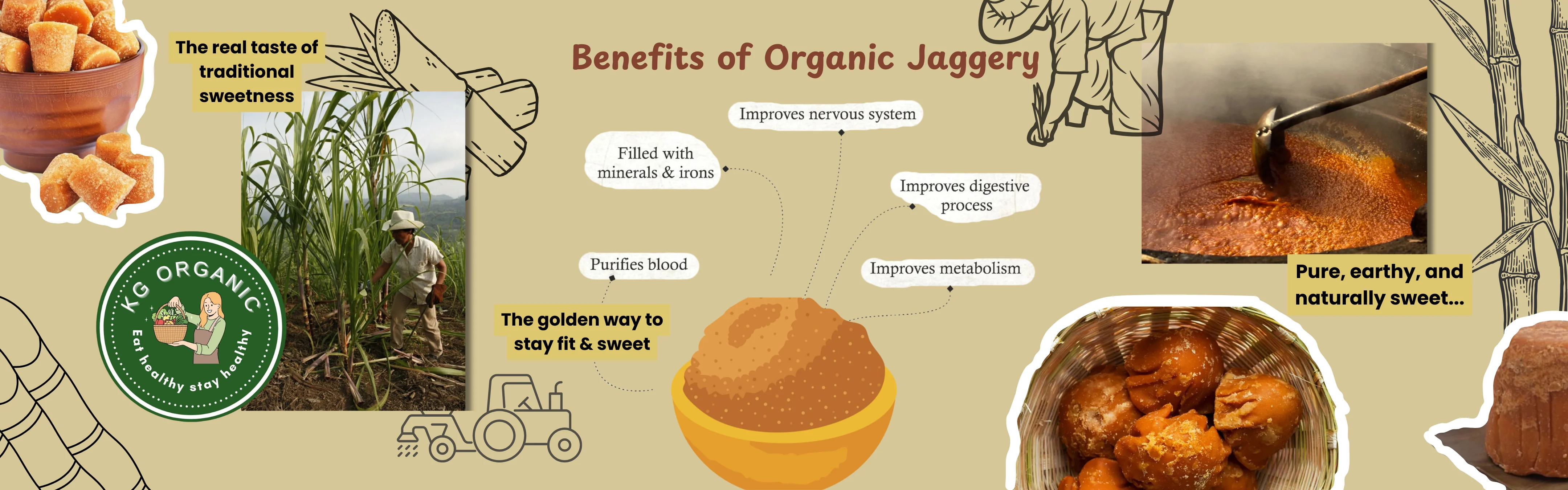 Organic jaggery